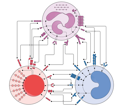 cell-network