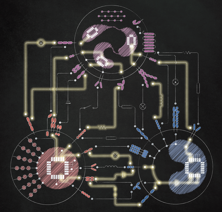 cells-elec