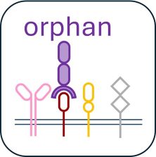 Receptor-deorphanisation