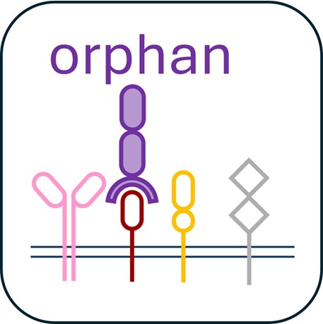 Receptor deorphanisation